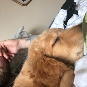 Meet your Posher, Chase